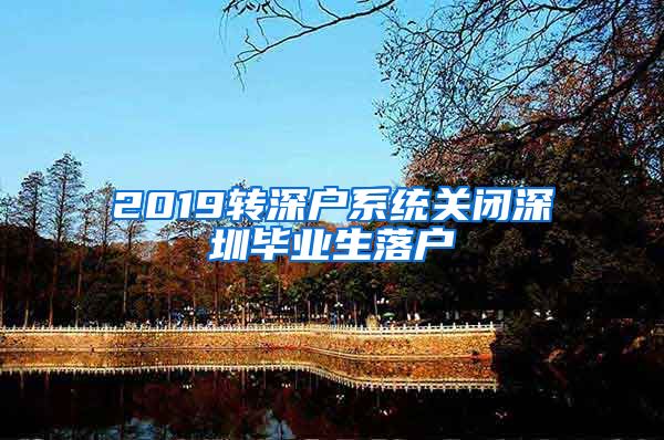 2019转深户系统关闭深圳毕业生落户