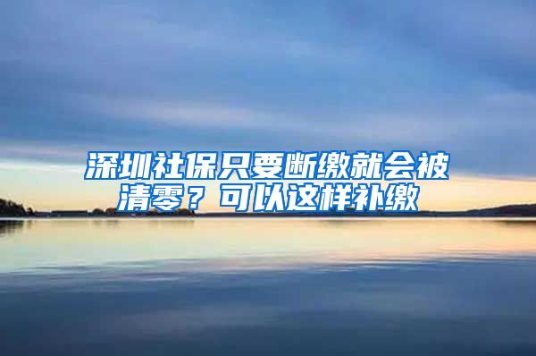 深圳社保只要断缴就会被清零？可以这样补缴