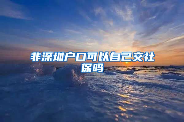 非深圳户口可以自己交社保吗