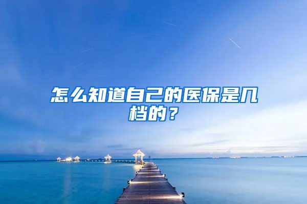 怎么知道自己的医保是几档的？