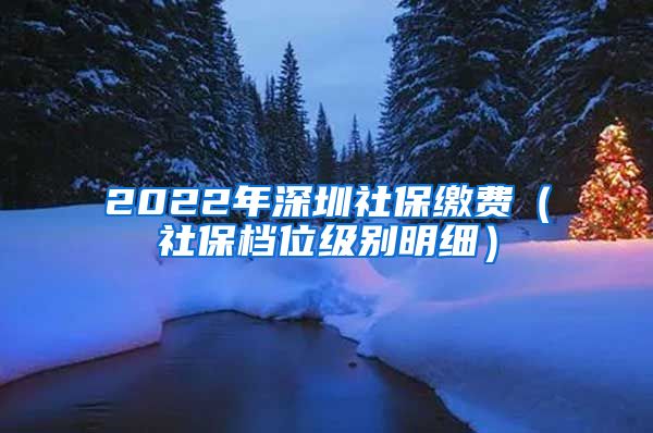 2022年深圳社保缴费（社保档位级别明细）