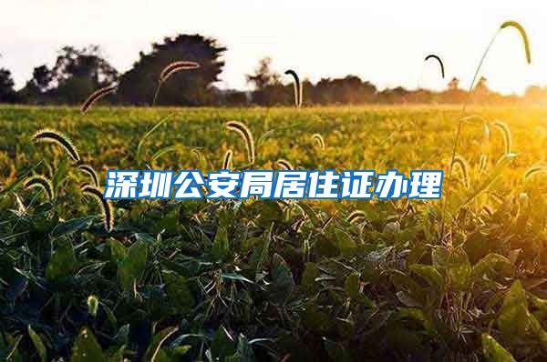 深圳公安局居住证办理