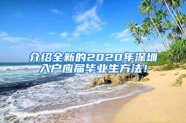 介绍全新的2020年深圳入户应届毕业生方法！