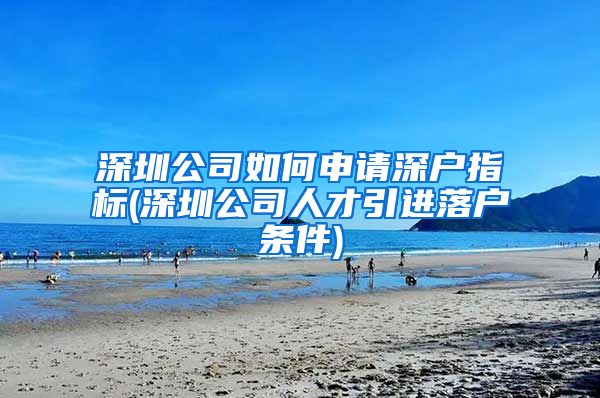 深圳公司如何申请深户指标(深圳公司人才引进落户条件)