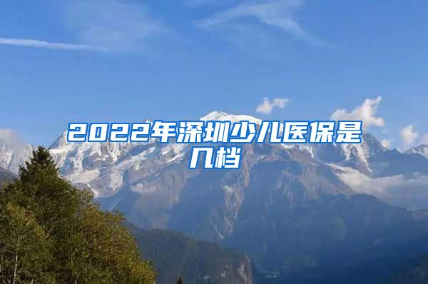 2022年深圳少儿医保是几档