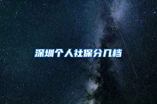 深圳个人社保分几档