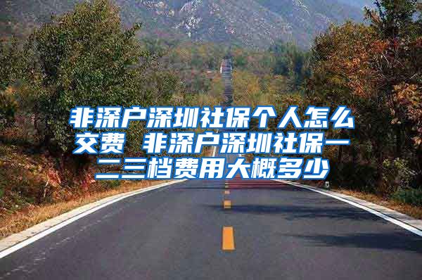 非深户深圳社保个人怎么交费 非深户深圳社保一二三档费用大概多少