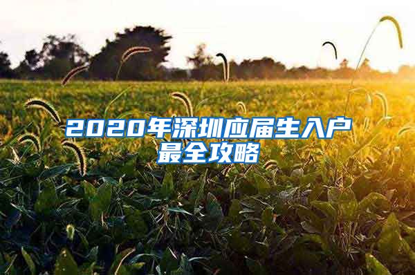 2020年深圳应届生入户最全攻略