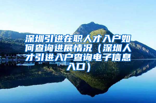 深圳引进在职人才入户如何查询进展情况（深圳人才引进入户查询电子信息入口）