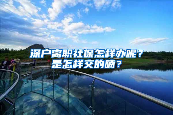 深户离职社保怎样办呢？是怎样交的喃？