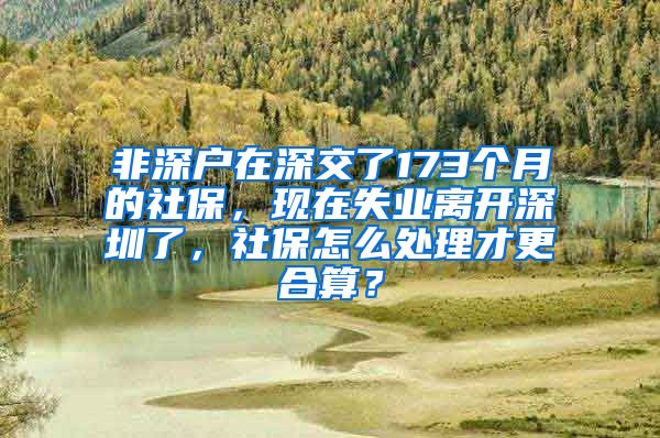 非深户在深交了173个月的社保，现在失业离开深圳了，社保怎么处理才更合算？