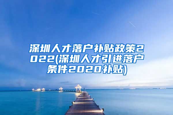 深圳人才落户补贴政策2022(深圳人才引进落户条件2020补贴)