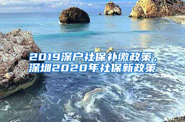 2019深户社保补缴政策，深圳2020年社保新政策