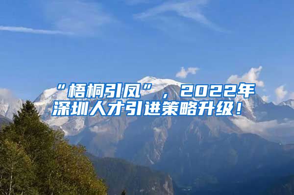 “梧桐引凤”，2022年深圳人才引进策略升级！