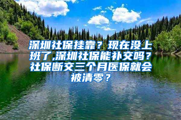 深圳社保挂靠？现在没上班了,深圳社保能补交吗？社保断交三个月医保就会被清零？