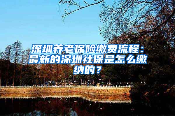 深圳养老保险缴费流程：最新的深圳社保是怎么缴纳的？