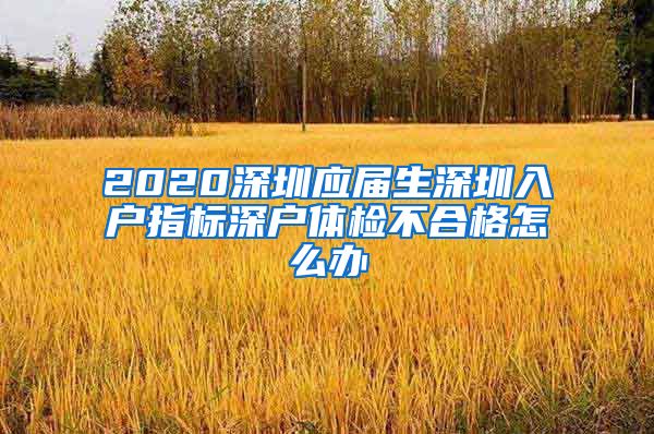 2020深圳应届生深圳入户指标深户体检不合格怎么办