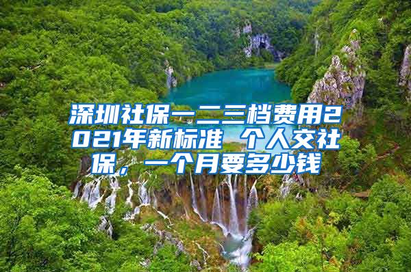 深圳社保一二三档费用2021年新标准 个人交社保，一个月要多少钱