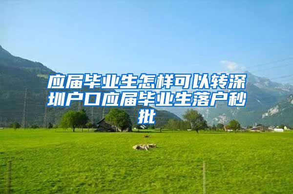 应届毕业生怎样可以转深圳户口应届毕业生落户秒批