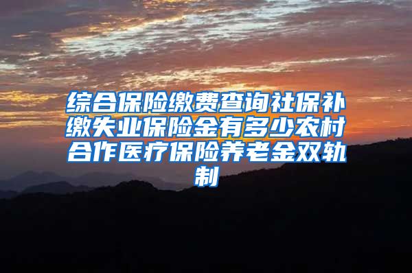 综合保险缴费查询社保补缴失业保险金有多少农村合作医疗保险养老金双轨制