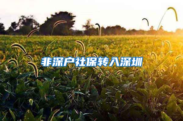 非深户社保转入深圳