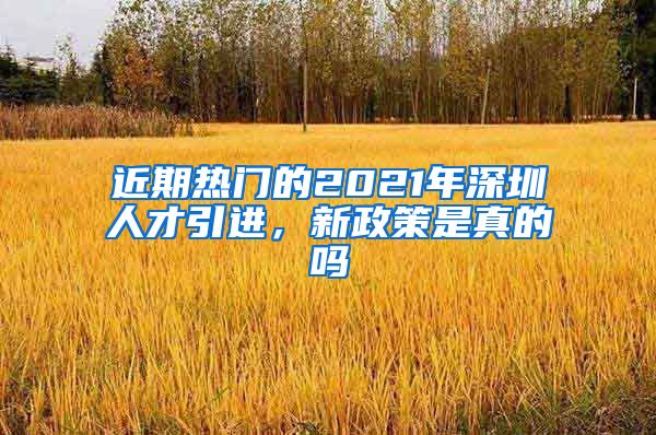 近期热门的2021年深圳人才引进，新政策是真的吗