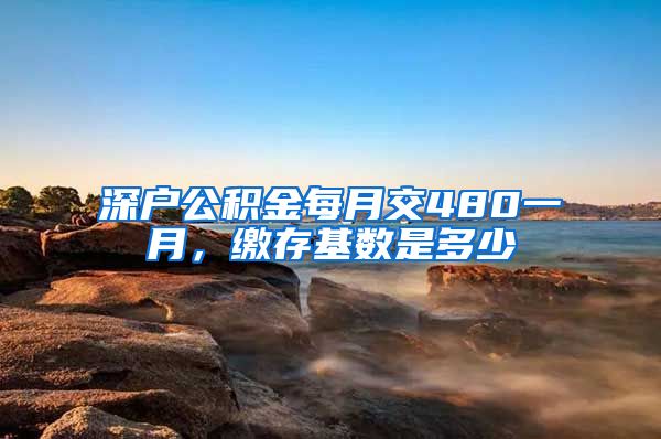 深户公积金每月交480一月，缴存基数是多少