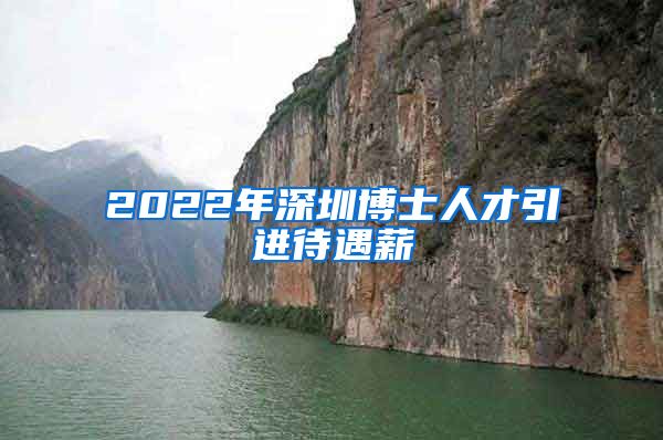 2022年深圳博士人才引进待遇薪