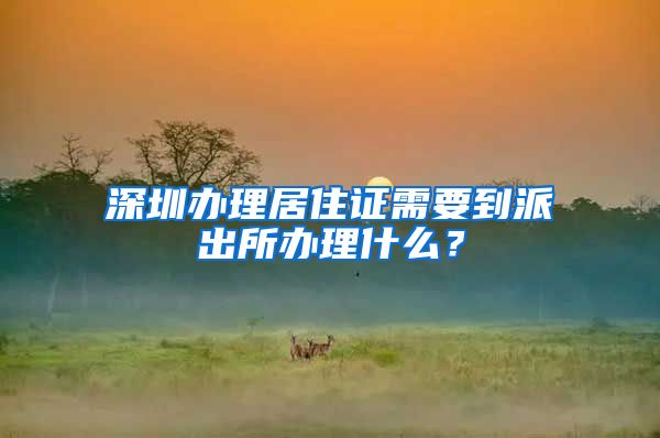 深圳办理居住证需要到派出所办理什么？