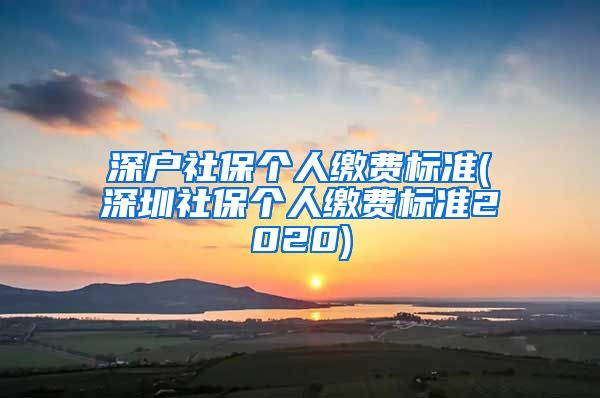 深户社保个人缴费标准(深圳社保个人缴费标准2020)