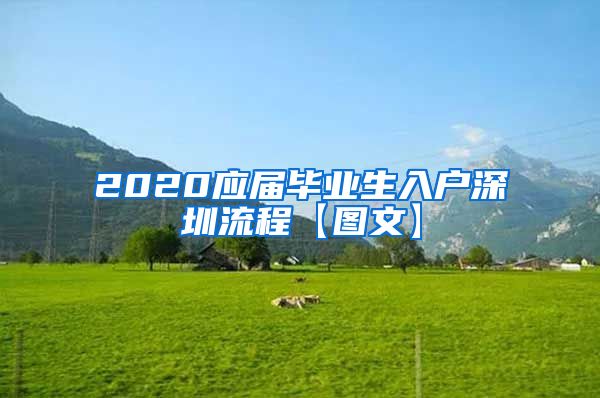 2020应届毕业生入户深圳流程【图文】