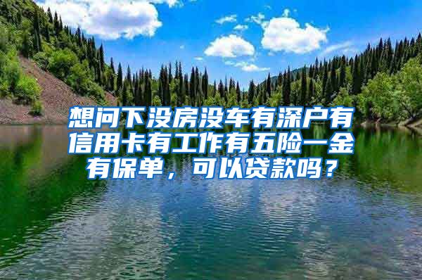 想问下没房没车有深户有信用卡有工作有五险一金有保单，可以贷款吗？