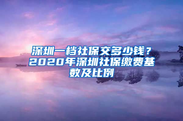 深圳一档社保交多少钱？2020年深圳社保缴费基数及比例