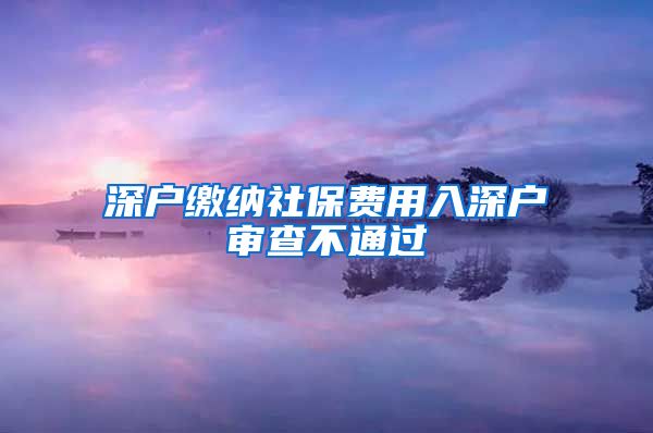 深户缴纳社保费用入深户审查不通过