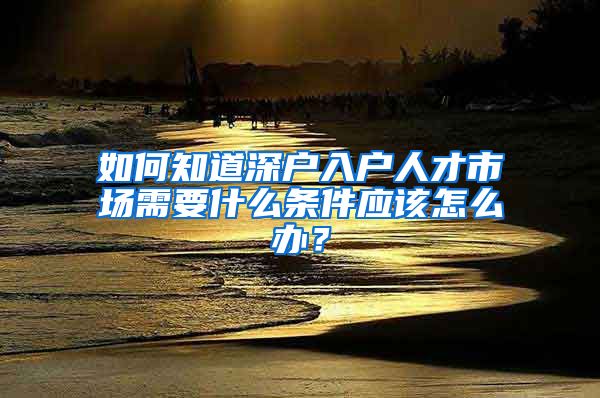 如何知道深户入户人才市场需要什么条件应该怎么办？