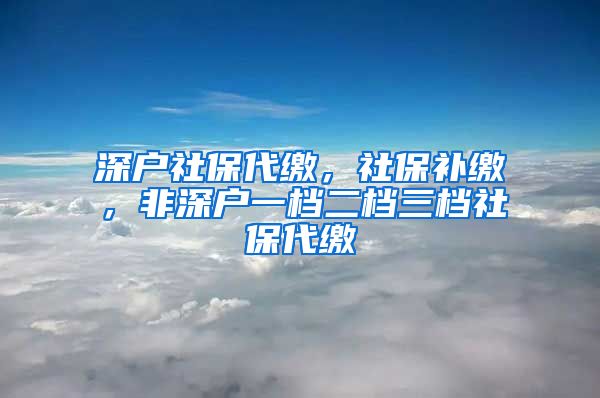 深户社保代缴，社保补缴，非深户一档二档三档社保代缴