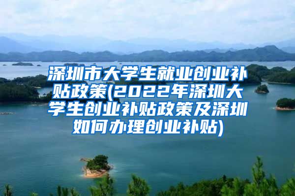 深圳市大学生就业创业补贴政策(2022年深圳大学生创业补贴政策及深圳如何办理创业补贴)