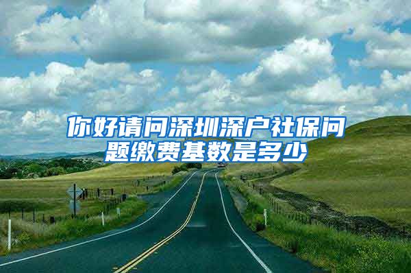 你好请问深圳深户社保问题缴费基数是多少