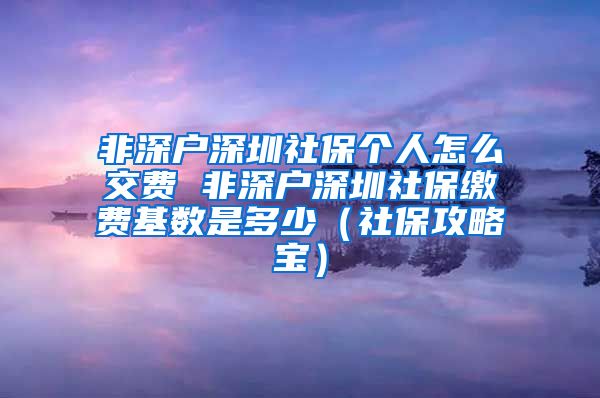 非深户深圳社保个人怎么交费 非深户深圳社保缴费基数是多少（社保攻略宝）