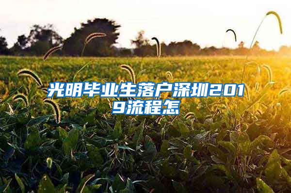 光明毕业生落户深圳2019流程怎