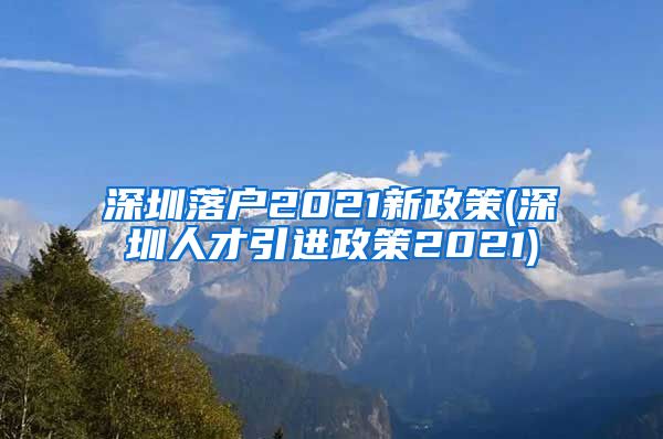 深圳落户2021新政策(深圳人才引进政策2021)