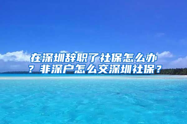 在深圳辞职了社保怎么办？非深户怎么交深圳社保？