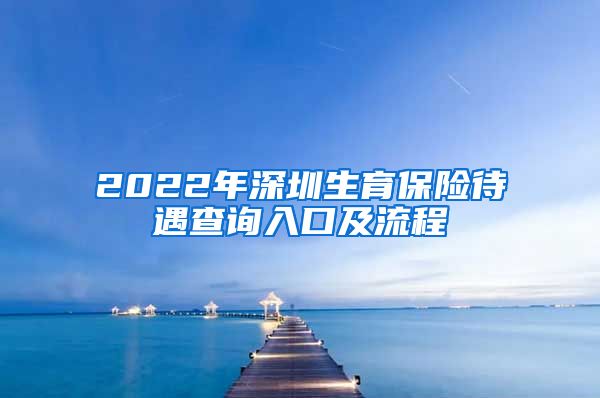 2022年深圳生育保险待遇查询入口及流程