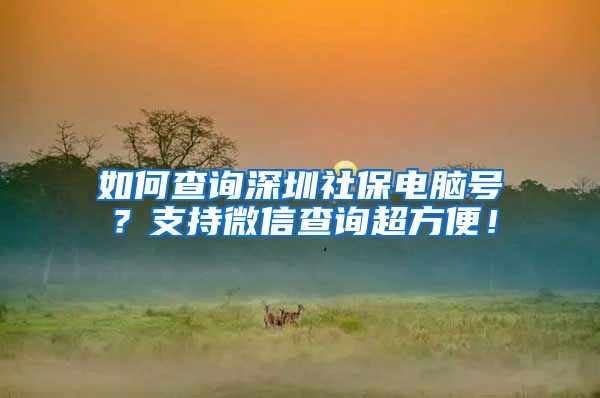 如何查询深圳社保电脑号？支持微信查询超方便！