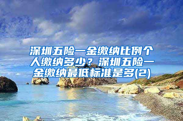 深圳五险一金缴纳比例个人缴纳多少？深圳五险一金缴纳最低标准是多(2)