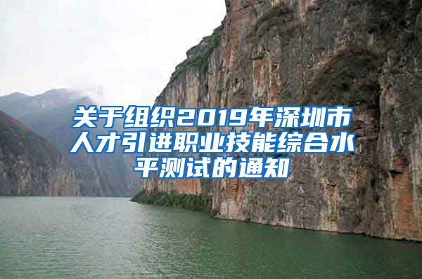 关于组织2019年深圳市人才引进职业技能综合水平测试的通知