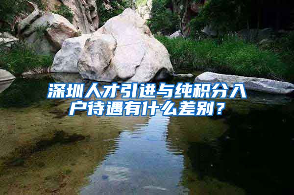 深圳人才引进与纯积分入户待遇有什么差别？