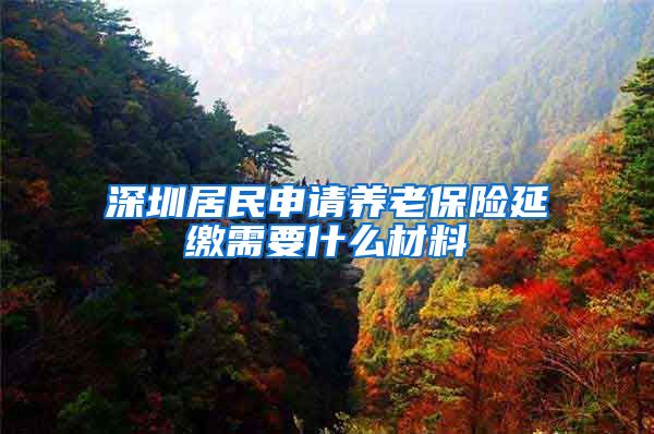 深圳居民申请养老保险延缴需要什么材料