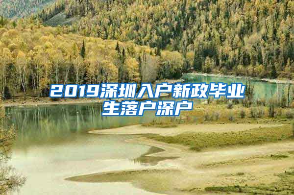 2019深圳入户新政毕业生落户深户