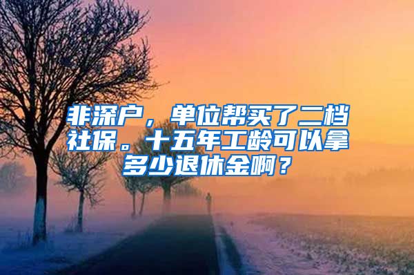 非深户，单位帮买了二档社保。十五年工龄可以拿多少退休金啊？